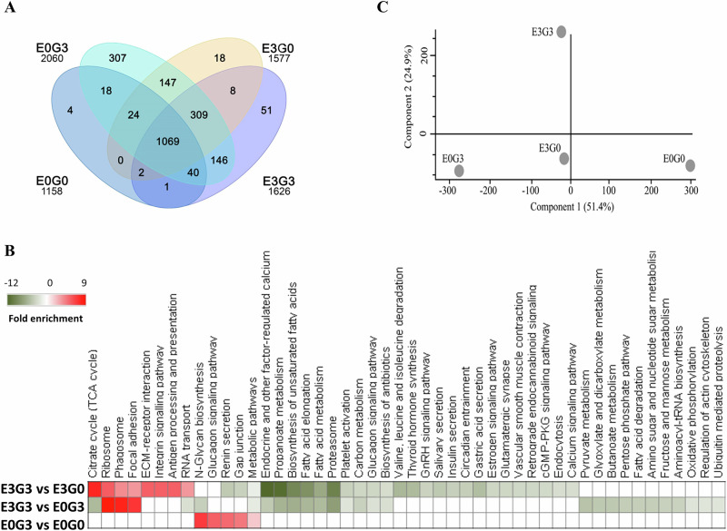 Proteomic landscape of decellularized breast carcinomas identifies C-type lectin domain family 3 member A as a driver of cancer aggressiveness.
