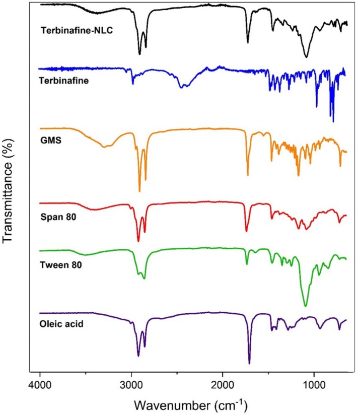 A Double-Blind Randomised Clinical Trial of Terbinafine-Nanostructured Lipid Carriers: Should We Anticipate This Strategy for Effective Topical Treatment of Onychomycosis?