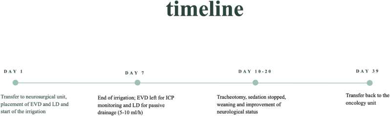 Inadvertent intrathecal application of vindesine and its neurological outcome: case report and systematic review of the literature.