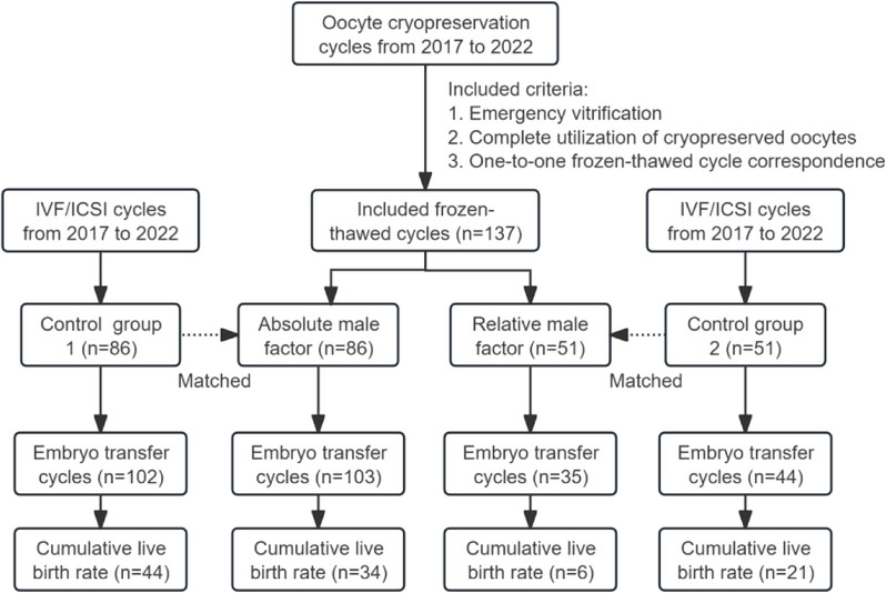 Cumulative live births and predictive factors of emergency oocyte cryopreservation: a retrospective cohort study.