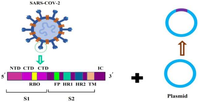 COVID-19 vaccines and neurological disorders: A narrative review of immune responses and adverse reactions.