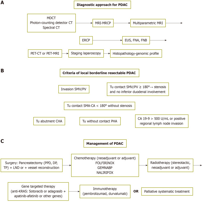 Updates in the diagnosis and management of ductal adenocarcinoma of the pancreas.