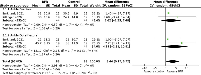 Effect of blood flow restriction on muscle strength and stability following foot and ankle injury: A systematic review.