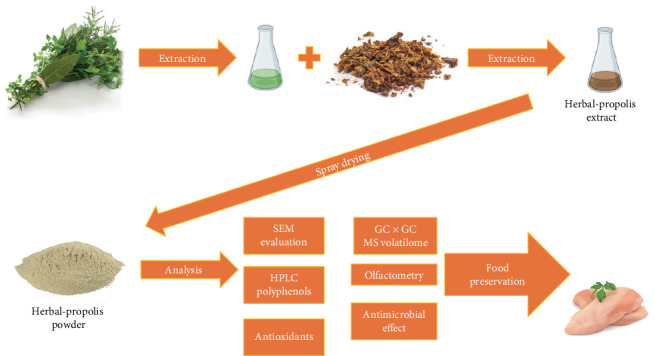 An Innovative Method of Obtaining Herbal Propolis Extracts and Application of its Spray-Dried Form as Natural Food Preservatives.