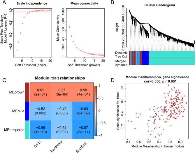 Eno1 in sepsis-induced coagulopathy: a pleiotropic mechanism hypothesis involving immunomodulation and endothelial dysfunction.