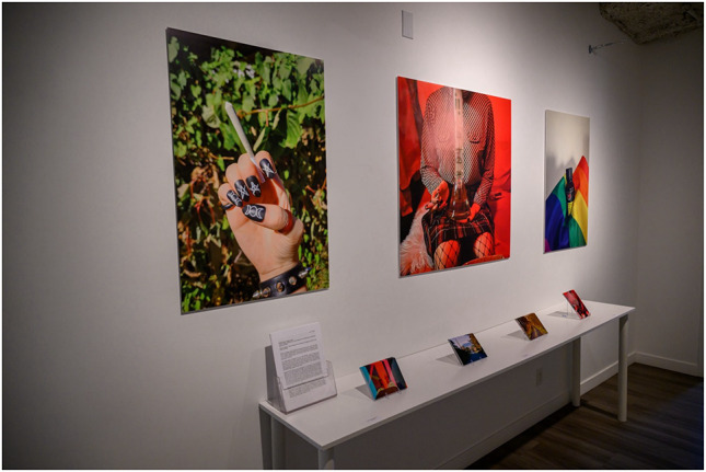 Harm reduction in photovoice knowledge mobilization with 2S/LGBTQ+ youth who use(d) drugs: A community showcase.