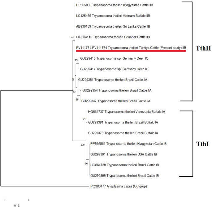 The First Molecular Detection of the Presence and Prevalence of Trypanosoma theileri in Cattle from Türkiye