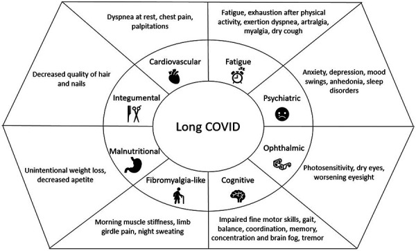 Prediction and phenotyping of long COVID in kidney transplant recipients: A cross-sectional study.