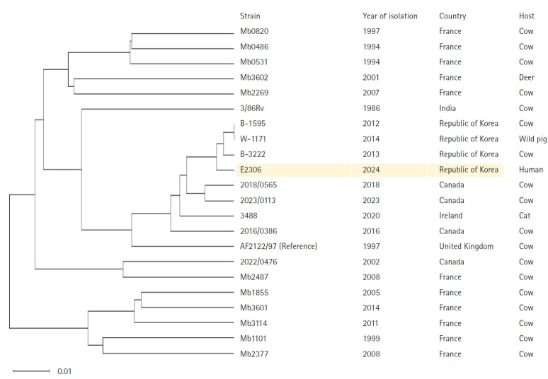 First report of human Mycobacterium bovis infection in a veterinary laboratory worker in the Republic of Korea.