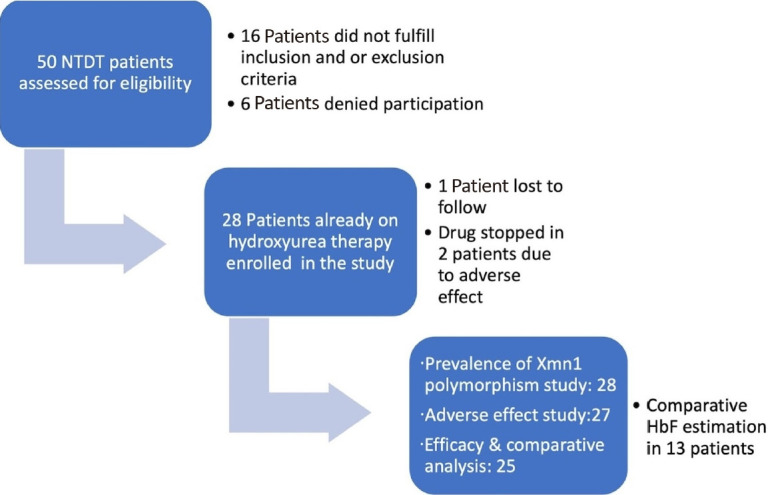 Impact of Xmn1 polymorphism on hydroxyurea therapy in children with HbE-β non-transfusion dependent thalassemia: a cohort study.