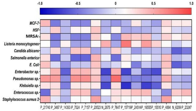 Screening of Red Sea- and Mediterranean Sea-derived Actinomycetes for Antimicrobial and Antitumor activities: LC-ESI-HRMS-based Metabolomics Study.