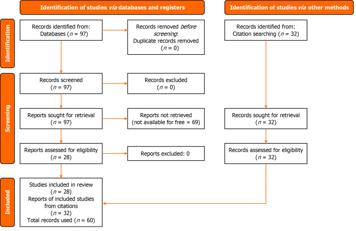 Eye on cytomegalovirus: Unveiling the ophthalmic impact of cytomegalovirus.