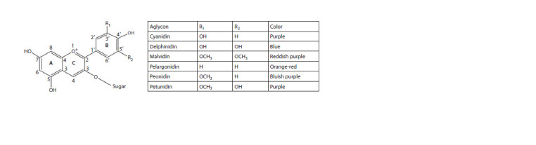 Anthocyanins and phenolic compounds in colored wheat grain.