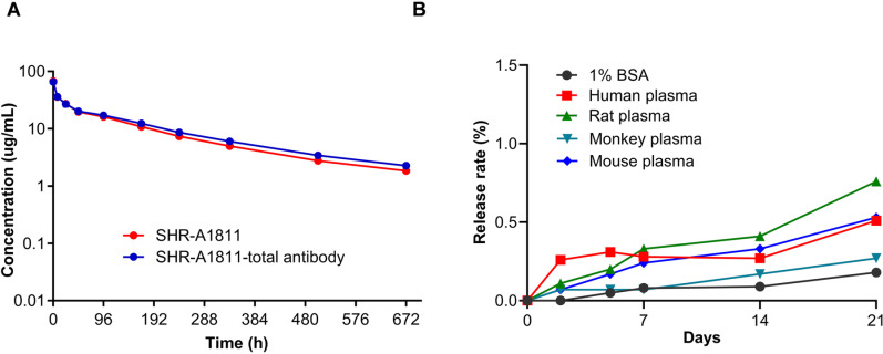 SHR-A1811, a novel anti-HER2 antibody-drug conjugate with optimal drug-to-antibody ratio, efficient tumor killing potency, and favorable safety profiles.