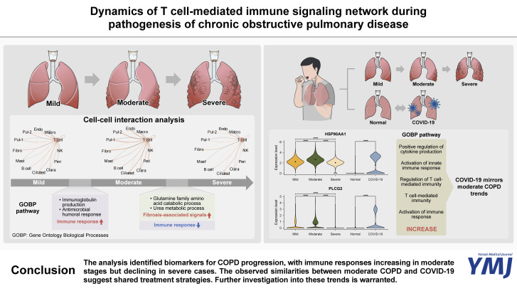 Dynamics of T Cell-Mediated Immune Signaling Network During Pathogenesis of Chronic Obstructive Pulmonary Disease.