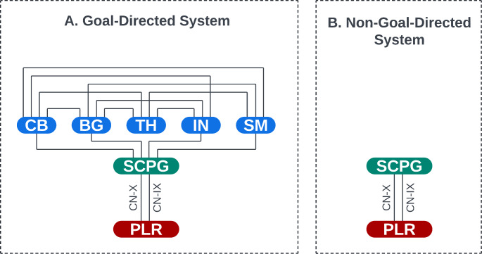 Revealing Goal-Directed Neural Control of the Pharyngeal Phase of Swallowing.