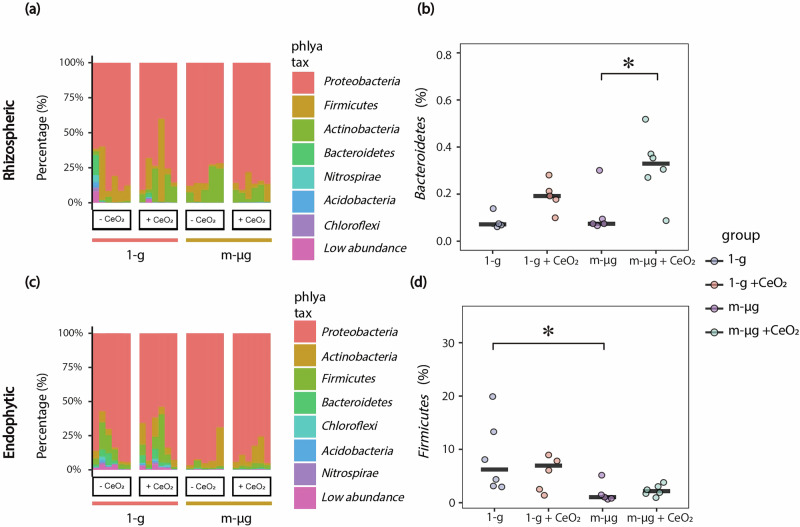 CeO<sub>2</sub> nanomaterial regulates wheat endophytic and rhizospheric bacteria to enhance resistance under simulated microgravity stress.