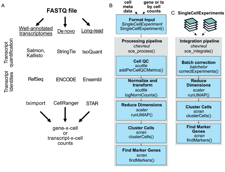Chevreul: an R bioconductor package for exploratory analysis of full-length single cell sequencing.