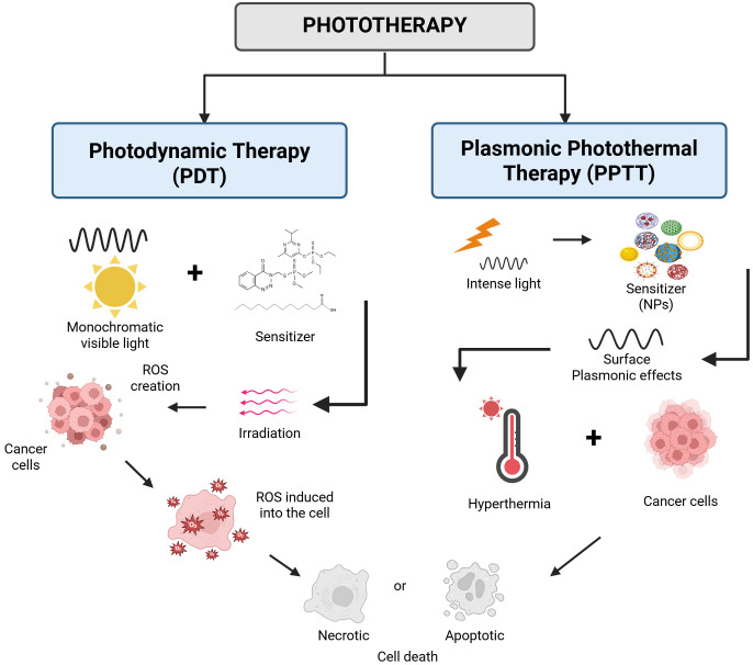 An overview of the feasibility of nanomedicine in pancreatic cancer theranostics.