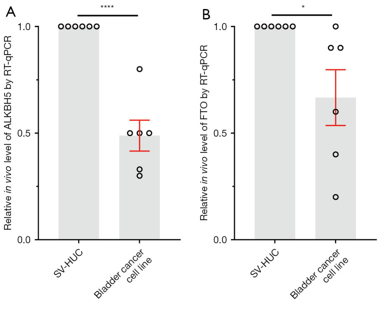 The 6-methyladenine erasers ALKBH5 and FTO influence chemotherapy efficiency in bladder cancer cell lines.