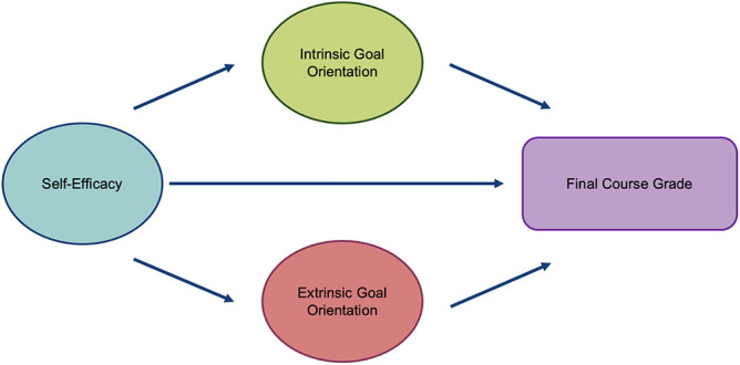 Self-Efficacy is a Stronger Predictor of Final Grade Than Motivation in an Introductory Biology Course: A Structural Equation Analysis.