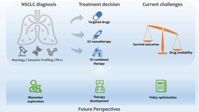 Immune Checkpoint Inhibitor-Based Therapy as the First-Line Treatment for Advanced Non-Small Cell Lung Cancer: Efficacy, Challenges, and Future Perspectives.