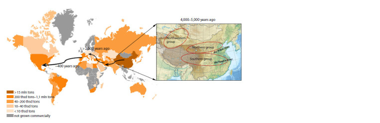 Modern methods in peach (Prunus persica) genome research.