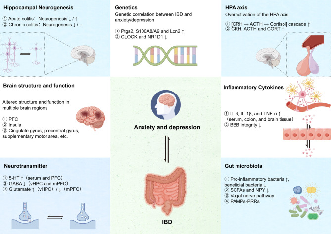 From gut inflammation to psychiatric comorbidity: mechanisms and therapies for anxiety and depression in inflammatory bowel disease.