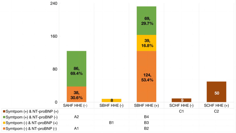 Screening for Heart Failure in Patients with Hypertension And/Or Diabetes Using Hand-Held Echocardiography: A Pilot Study.
