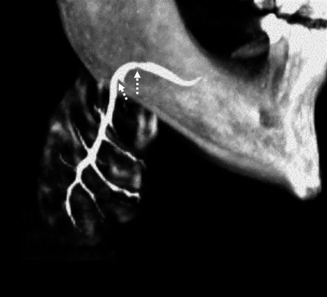 Abstract Image