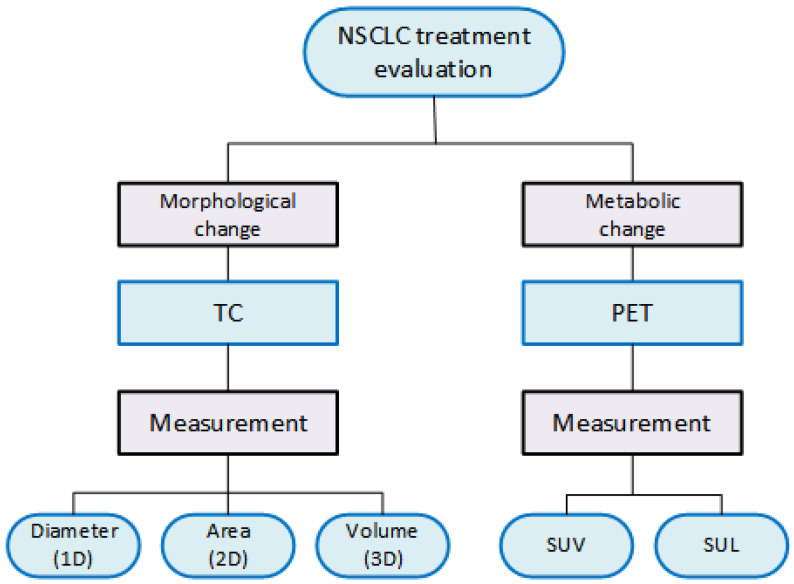 Deep Learning Approaches for Automated Prediction of Treatment Response in Non-Small-Cell Lung Cancer Patients Based on CT and PET Imaging.