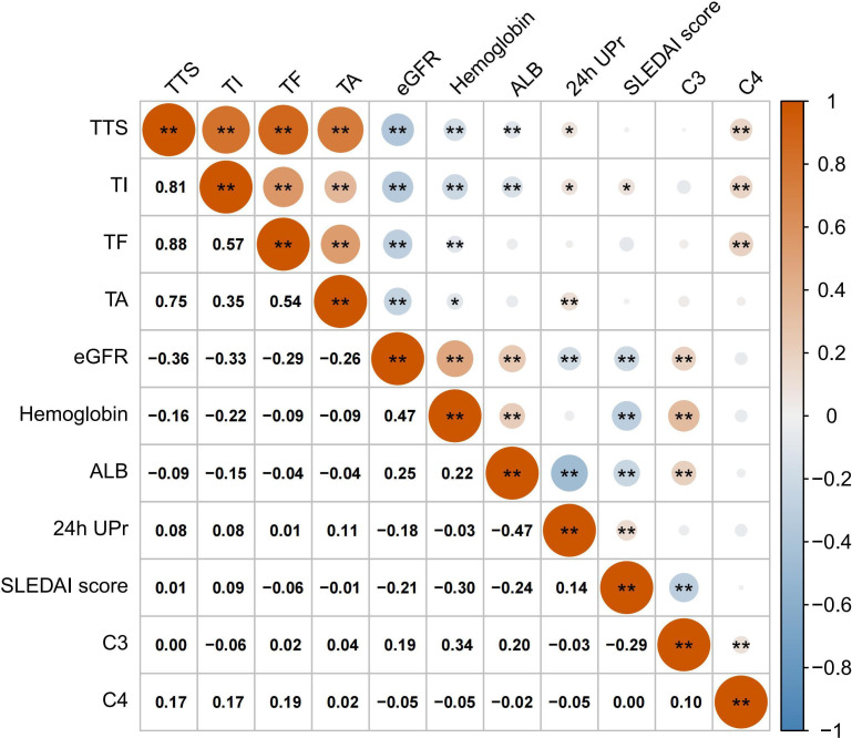 Total Tubulointerstitial Score: a simple and effective predictor of long-term mortality and adverse renal outcomes in lupus nephritis.