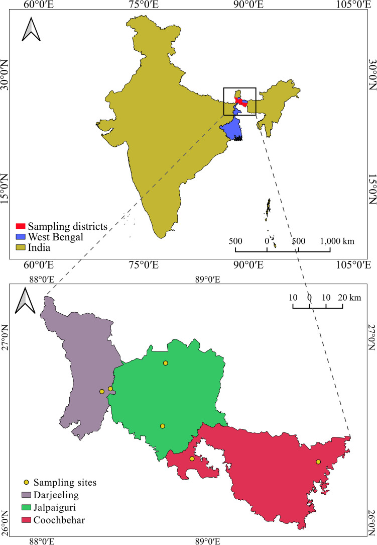 Overexpression of cytochrome P450 and esterase genes in pyrethroid-resistant wild Culex quinquefasciatus populations from sub-Himalayan West Bengal, India.