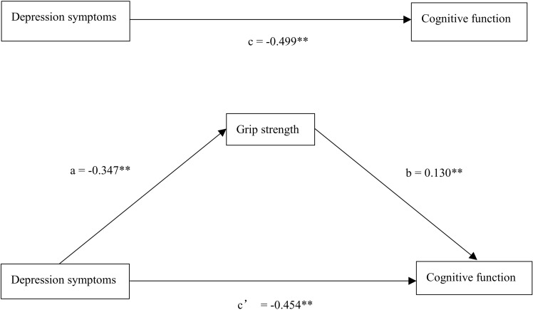 Mediating role of grip strength between depression symptoms and cognitive function: A cross-sectional study among older adults with diabetes in rural areas.
