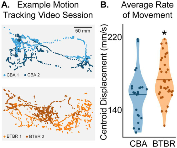 Quantifying social distance using deep learning-based video analysis: results from the BTBR mouse model of autism.
