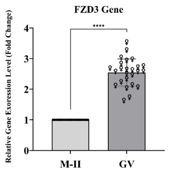 Evaluation of frizzled class receptor 3 and miR-378 expression levels in cumulus cells of polycystic ovary syndrome women: A case-control study.