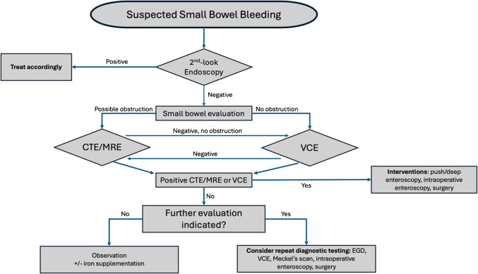 Small Bowel Bleeding Due to Vascular Lesions: Pathogenesis and Management.