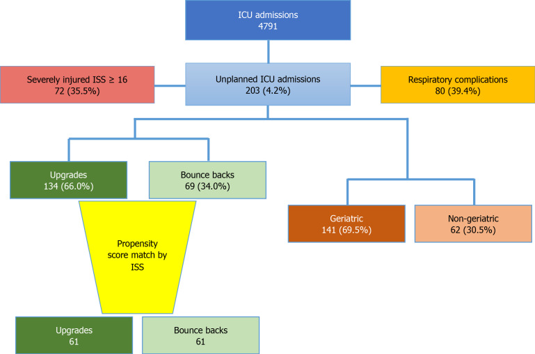 Characteristics and outcomes of trauma patients with unplanned intensive care unit admissions: Bounce backs and upgrades comparison.