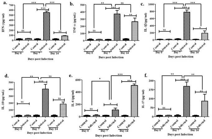 Establishment of an intragastric surgical model using C57BL/6 mice to study the vaccine efficacy of OMV-based immunogens against Helicobacter pylori.