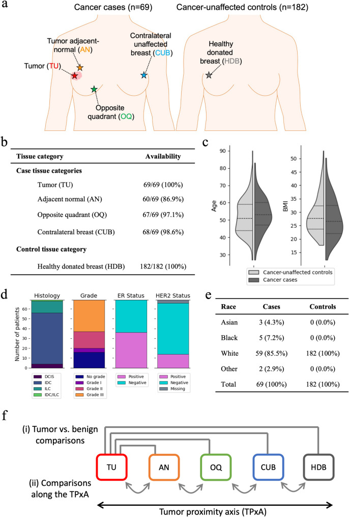 DNA methylation patterns in breast cancer, paired benign tissue from ipsilateral and contralateral breast, and healthy controls.