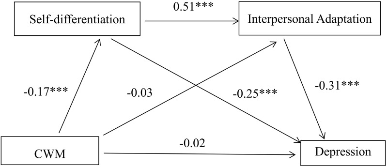 Relationship Between Cross-Generational Coalitions and Depression Among Chinese College Students: The Chain Mediating Roles of Self-Differentiation and Interpersonal Adaptation.