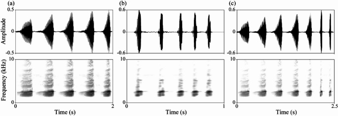 Context-dependent frequency alteration in a treefrog