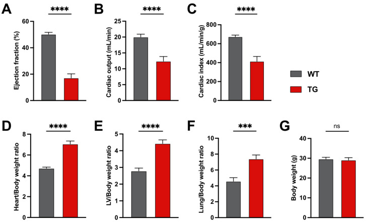 Role of Compensatory miRNA Networks in Cognitive Recovery from Heart Failure.