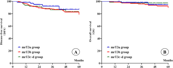 Clinical characteristics and survival outcomes of rectal cancer patients across different mrT3 substages determined by rectal MRI.