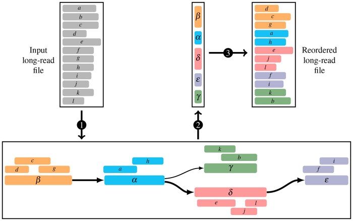 OReO: optimizing read order for practical compression.