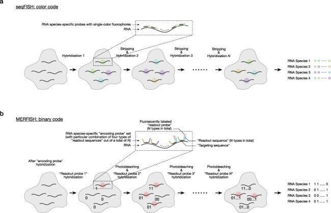 Live-cell omics with Raman spectroscopy.