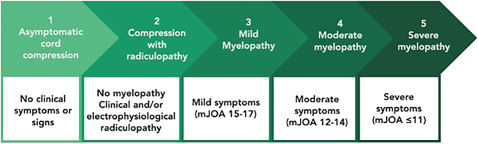 Degenerative cervical myelopathy: timing of surgery.
