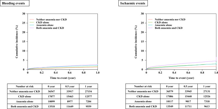 Dual impact of anaemia and chronic kidney disease on postpercutaneous coronary intervention outcomes: insights from the Japanese nationwide registry.