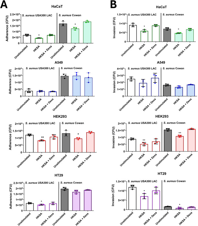 Cytokine-mediated inhibition of Staphylococcus aureus adherence and invasion into nonphagocytic cells.