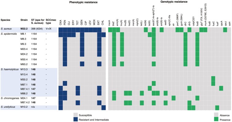 Prevalence and antimicrobial resistance of methicillin-resistant and methicillin-susceptible <i>Staphylococcus</i> in small- to medium-scale and large-scale dairy farms in Thailand.